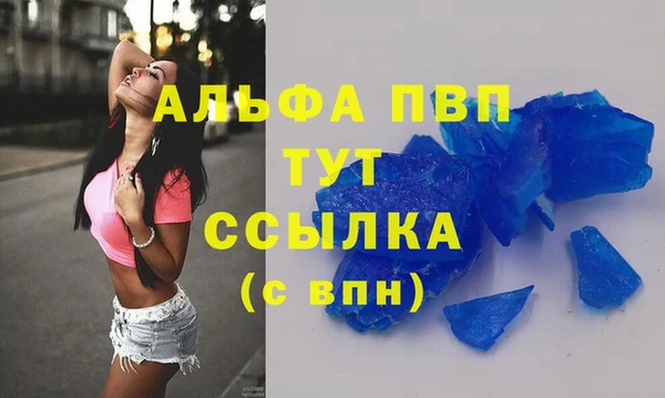 стафф Алзамай