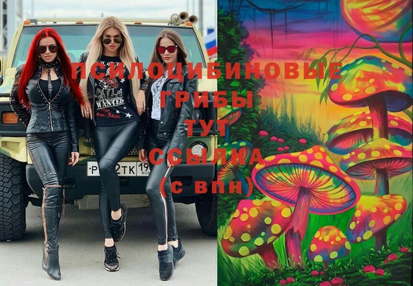 Альфа ПВП Алексин