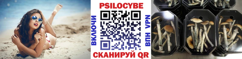 Псилоцибиновые грибы мухоморы  купить наркотики цена  OMG ссылки  Фатеж 